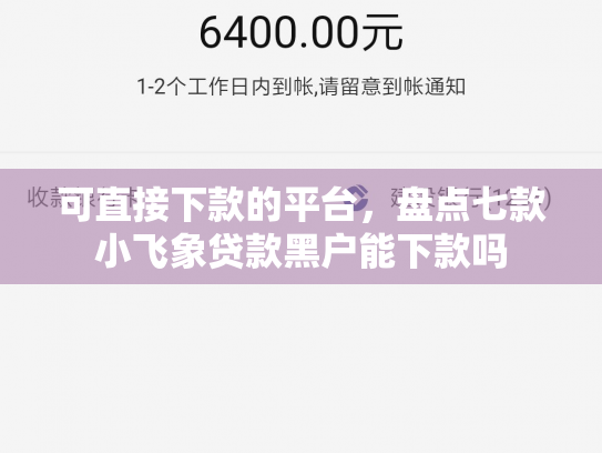 可直接下款的平台，盘点七款小飞象贷款黑户能下款吗