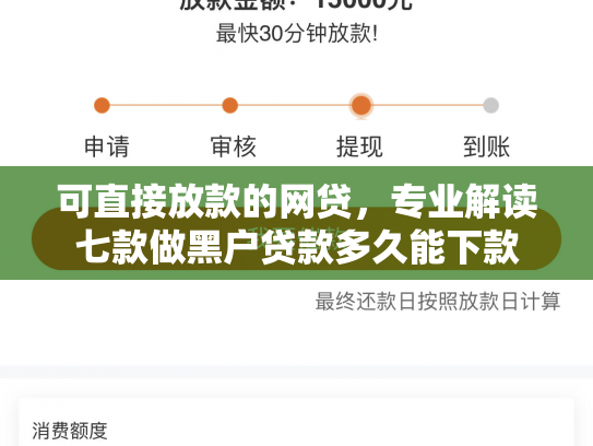 可直接放款的网贷，专业解读七款做黑户贷款多久能下款