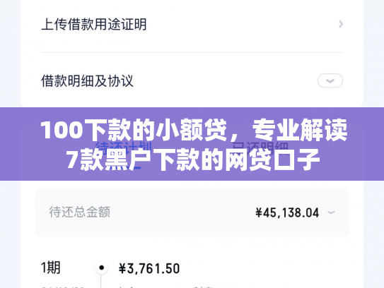 100下款的小额贷，专业解读7款黑户下款的网贷口子