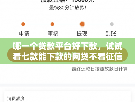 哪一个贷款平台好下款，试试看七款能下款的网贷不看征信
