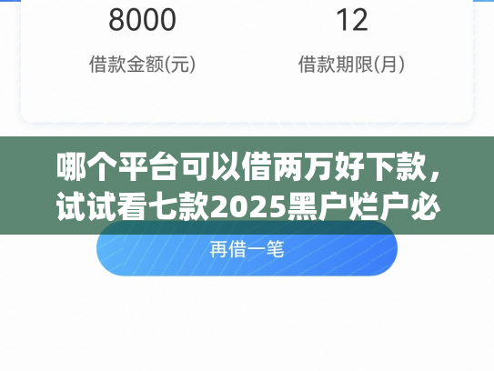 哪个平台可以借两万好下款，试试看七款2025黑户烂户必过秒下款app