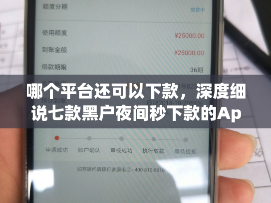 哪个平台还可以下款，深度细说七款黑户夜间秒下款的App2025