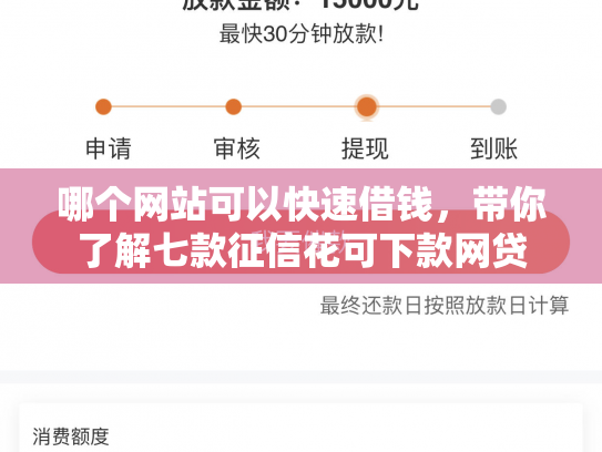 哪个网站可以快速借钱，带你了解七款征信花可下款网贷