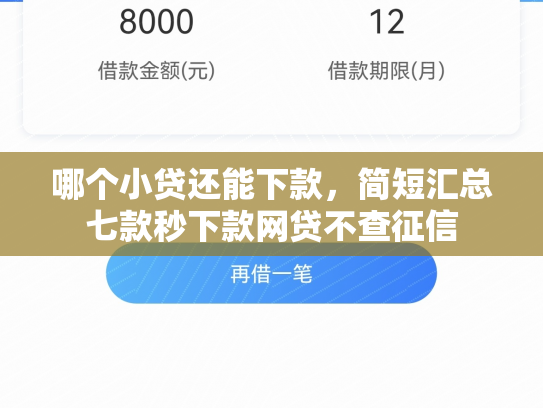 哪个小贷还能下款，简短汇总七款秒下款网贷不查征信