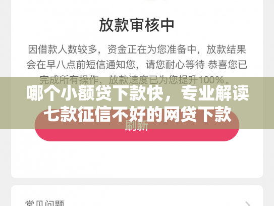 哪个小额贷下款快，专业解读七款征信不好的网贷下款