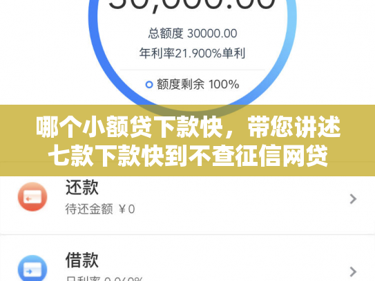 哪个小额贷下款快，带您讲述七款下款快到不查征信网贷