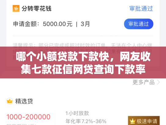哪个小额贷款下款快，网友收集七款征信网贷查询下款率
