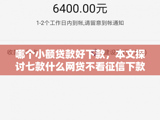 哪个小额贷款好下款，本文探讨七款什么网贷不看征信下款