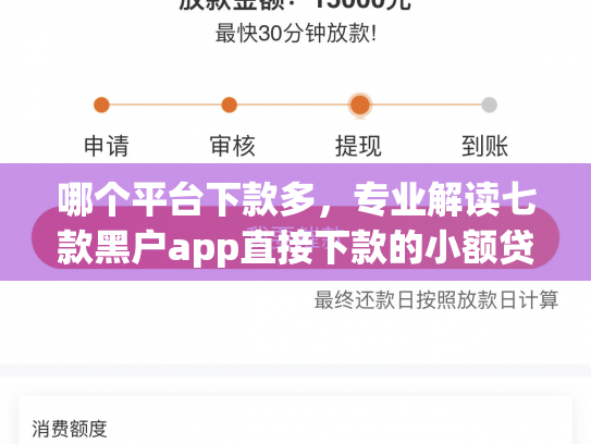 哪个平台下款多，专业解读七款黑户app直接下款的小额贷款