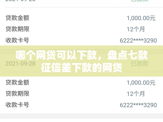 哪个网贷可以下款，盘点七款征信差下款的网贷