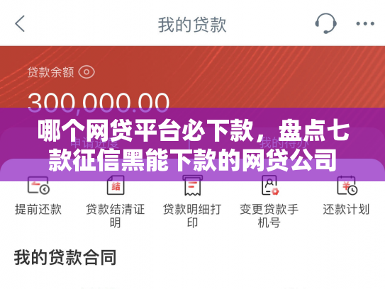 哪个网贷平台必下款，盘点七款征信黑能下款的网贷公司