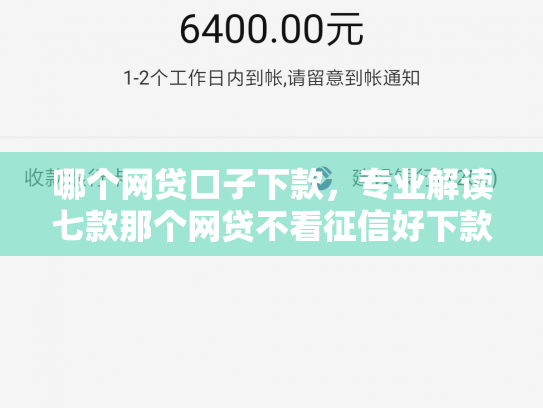 哪个网贷口子下款，专业解读七款那个网贷不看征信好下款