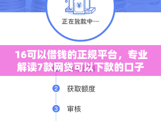 16可以借钱的正规平台，专业解读7款网贷可以下款的口子