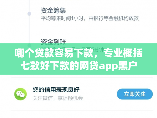 哪个贷款容易下款，专业概括七款好下款的网贷app黑户