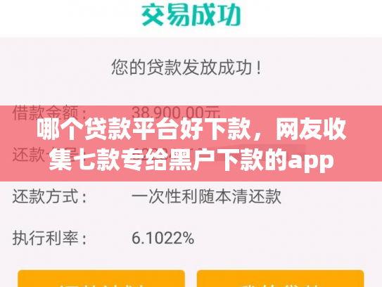 哪个贷款平台好下款，网友收集七款专给黑户下款的app