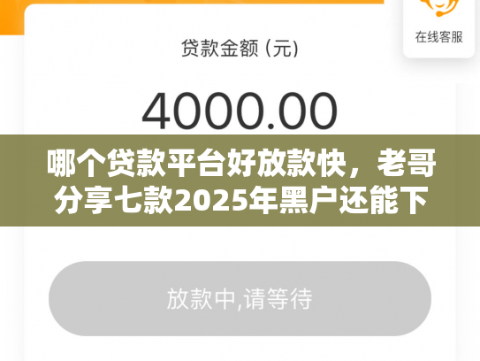 哪个贷款平台好放款快，老哥分享七款2025年黑户还能下款的APP