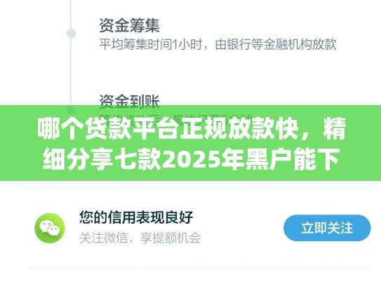 哪个贷款平台正规放款快，精细分享七款2025年黑户能下款的app