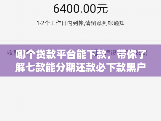 哪个贷款平台能下款，带你了解七款能分期还款必下款黑户app