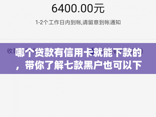 哪个贷款有信用卡就能下款的，带你了解七款黑户也可以下款的app