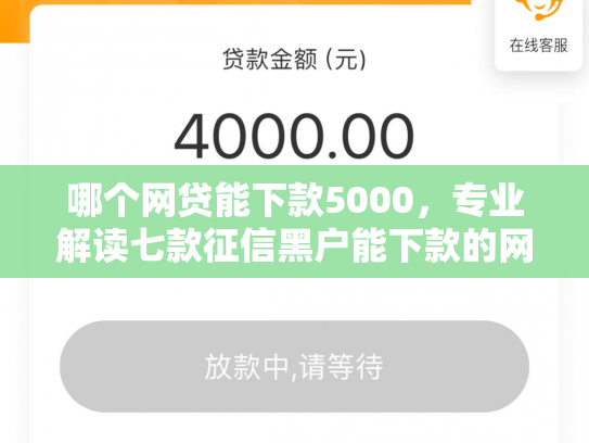 哪个网贷能下款5000，专业解读七款征信黑户能下款的网贷