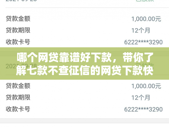 哪个网贷靠谱好下款，带你了解七款不查征信的网贷下款快