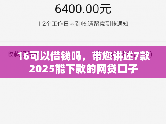 16可以借钱吗，带您讲述7款2025能下款的网贷口子