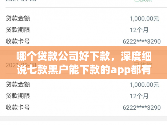 哪个贷款公司好下款，深度细说七款黑户能下款的app都有什么