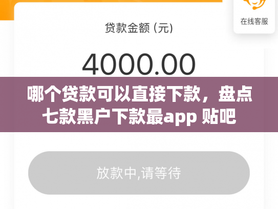 哪个贷款可以直接下款，盘点七款黑户下款最app 贴吧