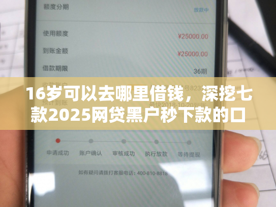 16岁可以去哪里借钱，深挖七款2025网贷黑户秒下款的口子