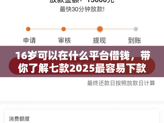 16岁可以在什么平台借钱，带你了解七款2025最容易下款的网贷口子