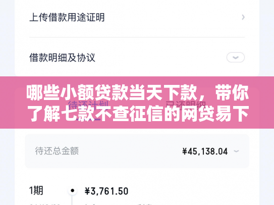 哪些小额贷款当天下款，带你了解七款不查征信的网贷易下款