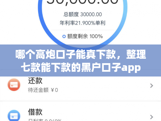 哪个高炮口子能真下款，整理七款能下款的黑户口子app