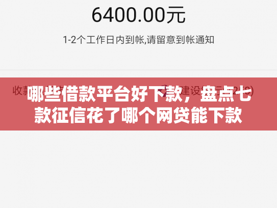 哪些借款平台好下款，盘点七款征信花了哪个网贷能下款