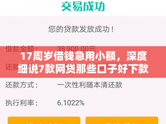 17周岁借钱急用小额，深度细说7款网贷那些口子好下款