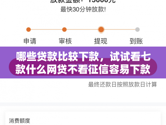 哪些贷款比较下款，试试看七款什么网贷不看征信容易下款