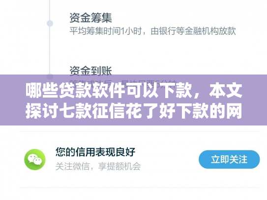 哪些贷款软件可以下款，本文探讨七款征信花了好下款的网贷