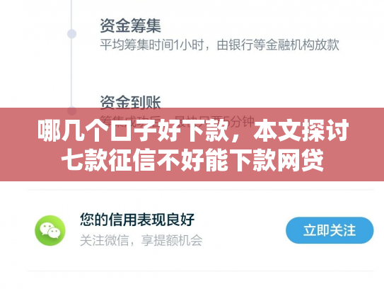 哪几个口子好下款，本文探讨七款征信不好能下款网贷