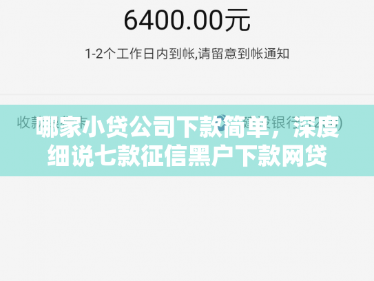 哪家小贷公司下款简单，深度细说七款征信黑户下款网贷
