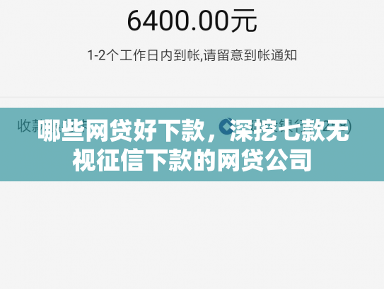 哪些网贷好下款，深挖七款无视征信下款的网贷公司
