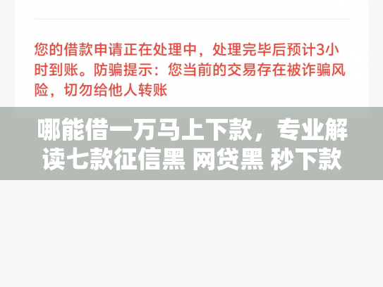 哪能借一万马上下款，专业解读七款征信黑 网贷黑 秒下款