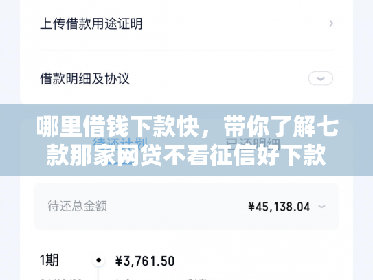 哪里借钱下款快，带你了解七款那家网贷不看征信好下款