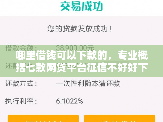 哪里借钱可以下款的，专业概括七款网贷平台征信不好好下款