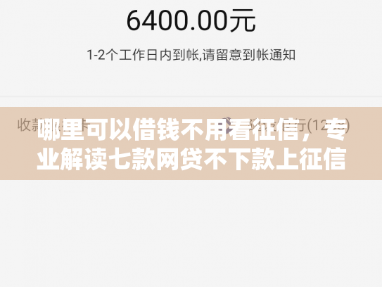 哪里可以借钱不用看征信，专业解读七款网贷不下款上征信吗