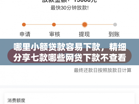 哪里小额贷款容易下款，精细分享七款哪些网贷下款不查看征信