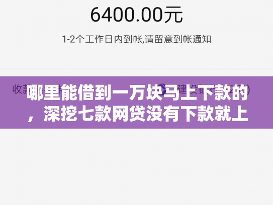 哪里能借到一万块马上下款的，深挖七款网贷没有下款就上征信吗