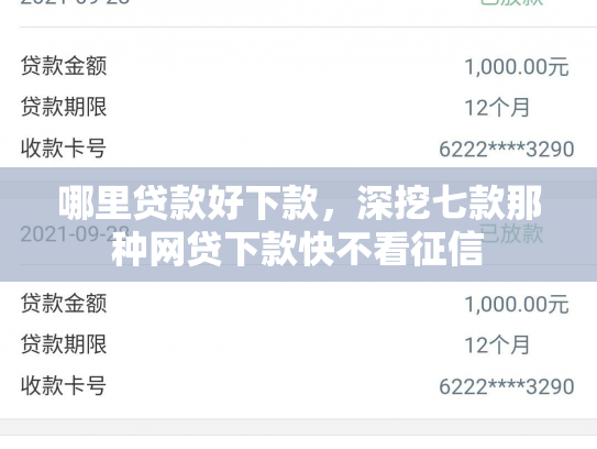 哪里贷款好下款，深挖七款那种网贷下款快不看征信