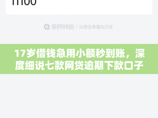 17岁借钱急用小额秒到账，深度细说七款网贷逾期下款口子
