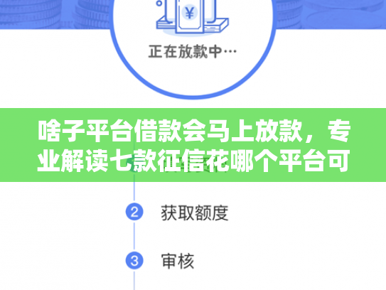 啥子平台借款会马上放款，专业解读七款征信花哪个平台可以下款