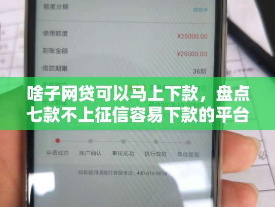啥子网贷可以马上下款，盘点七款不上征信容易下款的平台