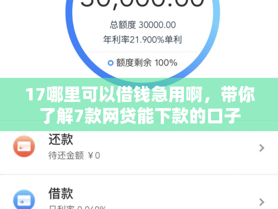 17哪里可以借钱急用啊，带你了解7款网贷能下款的口子